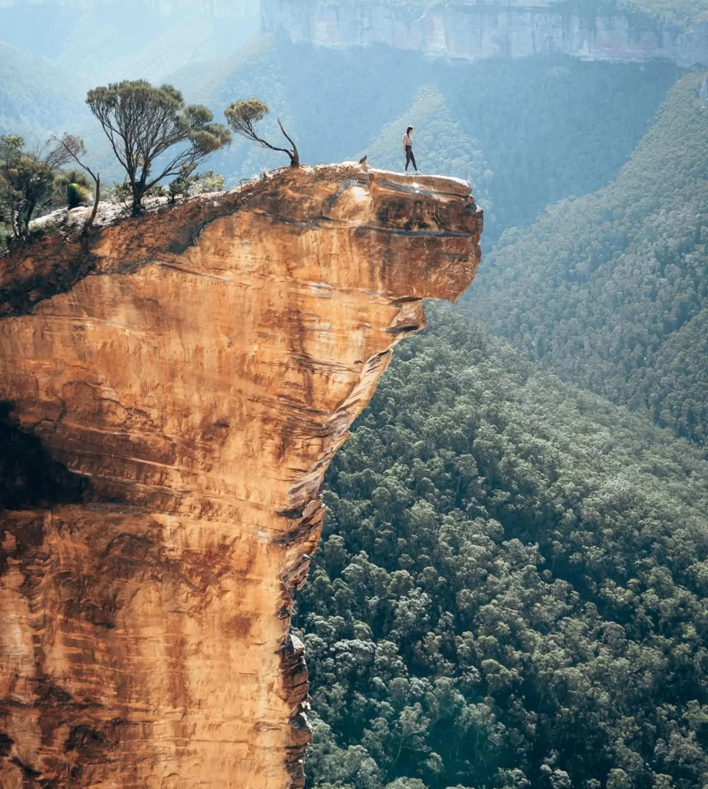 Evans Lookout, Blue Mountains