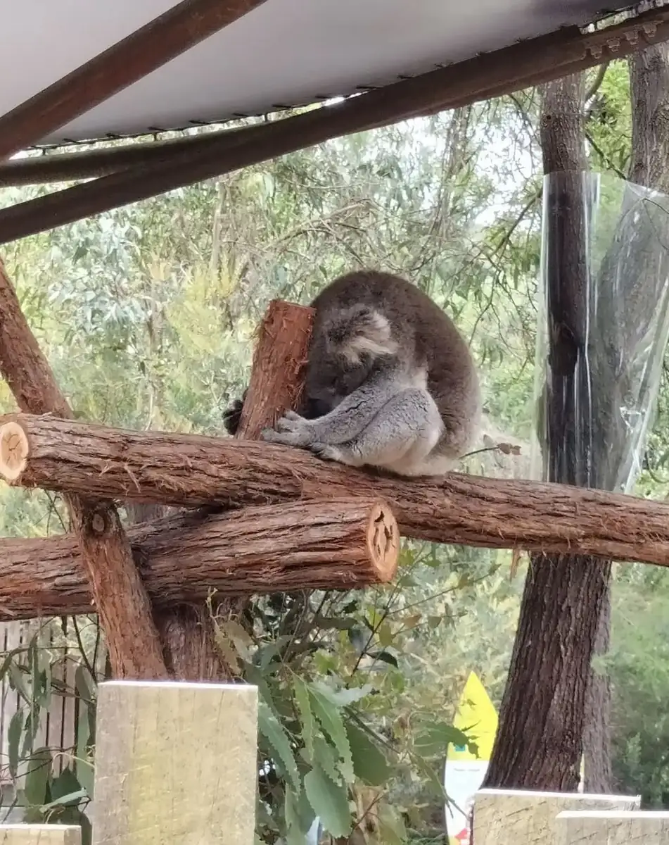 Take In The Wildlife, or Just A Nice View