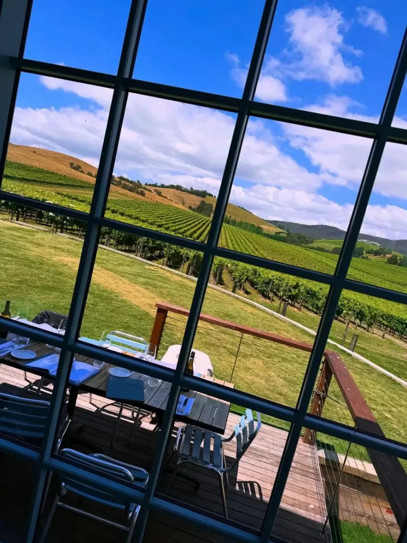The Best 24-Hour Yarra Valley Itinerary for Sports Fans Visiting Melbourne