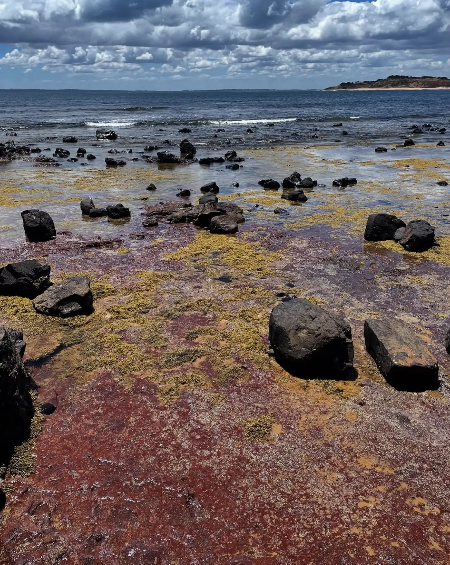 tides at phillip island today