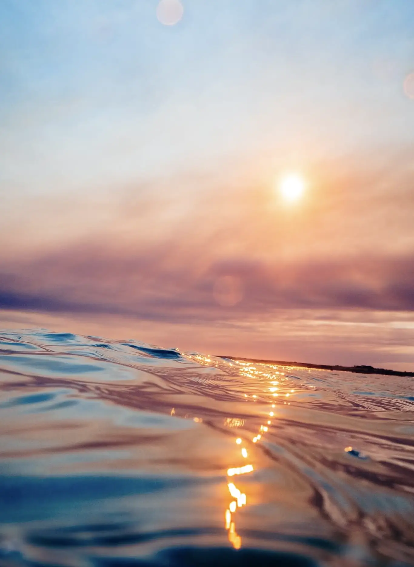 tides phillip.island